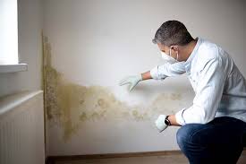 Best Mold Odor Removal Services in Hopatcong, NJ